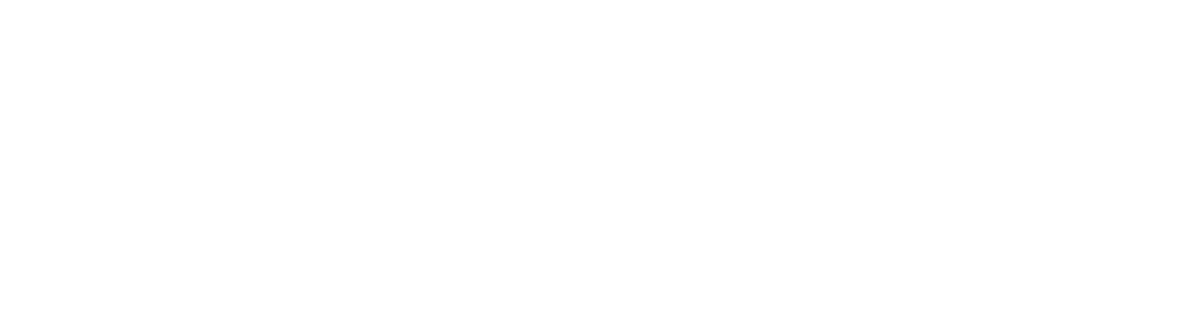 specialis IT